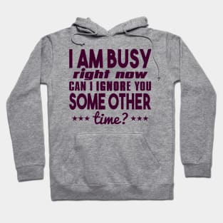 I Am Busy Right Now Can I Ignore You Some Other Time? Hoodie